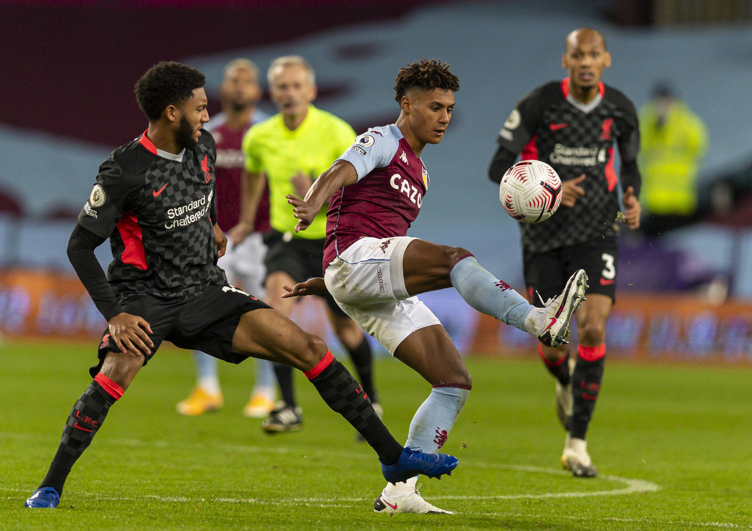 术多样性 术多样性